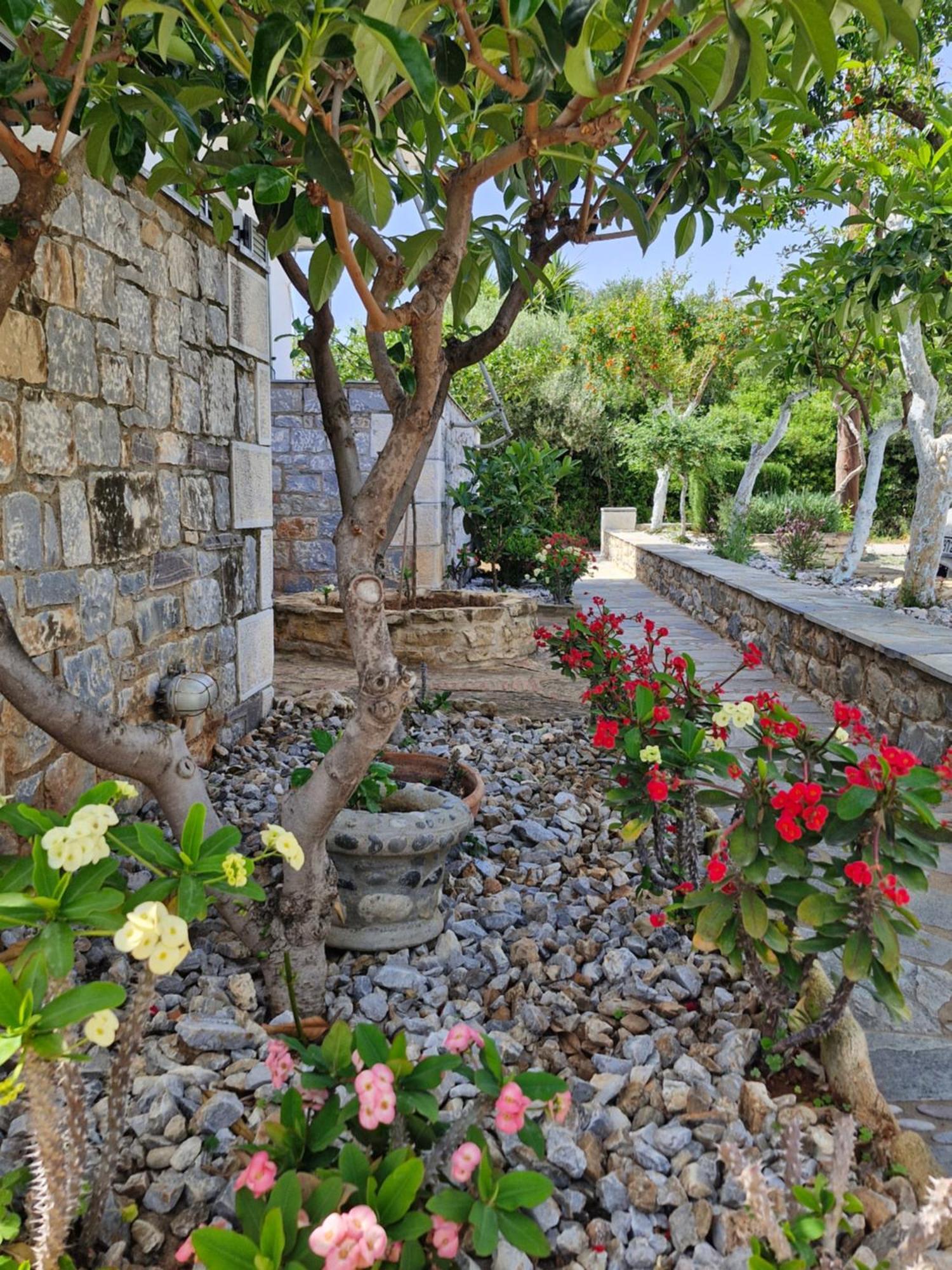 אגיוס ניקולאוס Anna Maria Studios מראה חיצוני תמונה