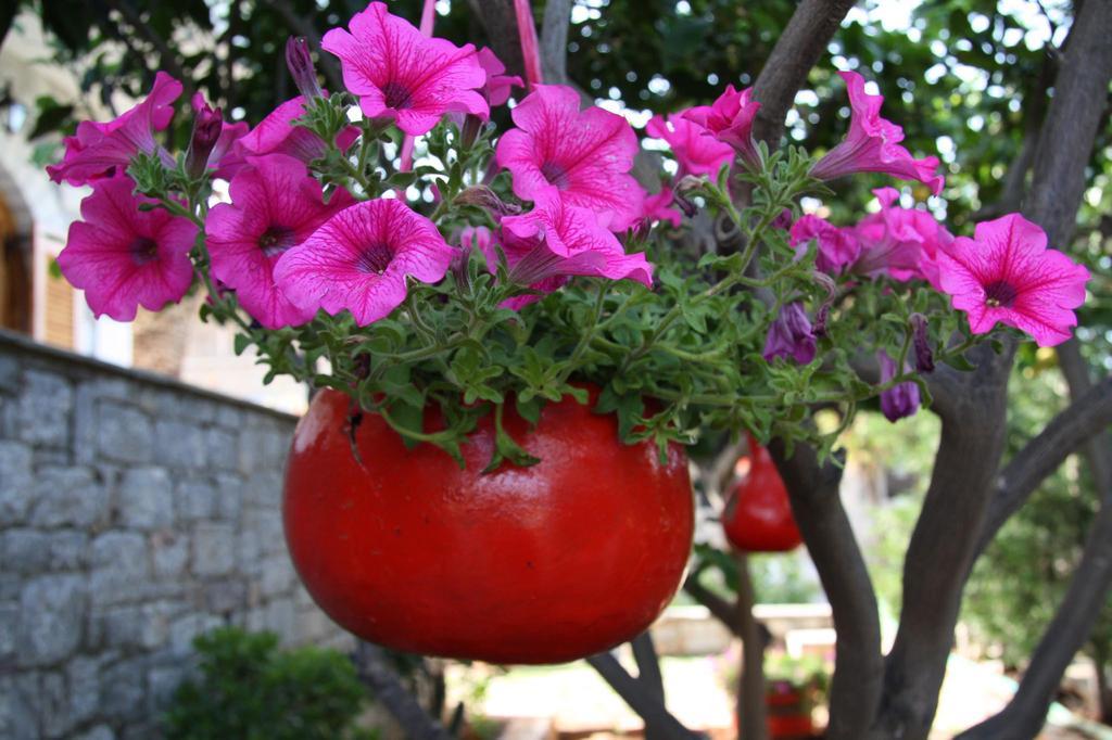 אגיוס ניקולאוס Anna Maria Studios מראה חיצוני תמונה